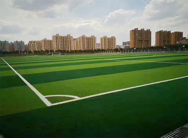 国标足球场人造草坪